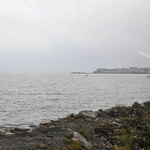 Gallery Photo 188