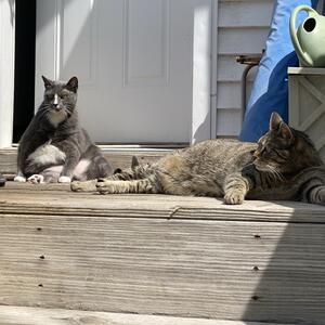 Gallery Photo 16