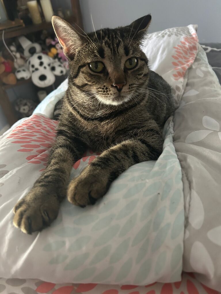 Sophie