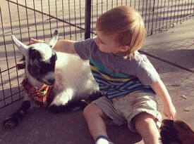 All About A Farm - Petting Zoo - Davis, CA - Hero Gallery 2