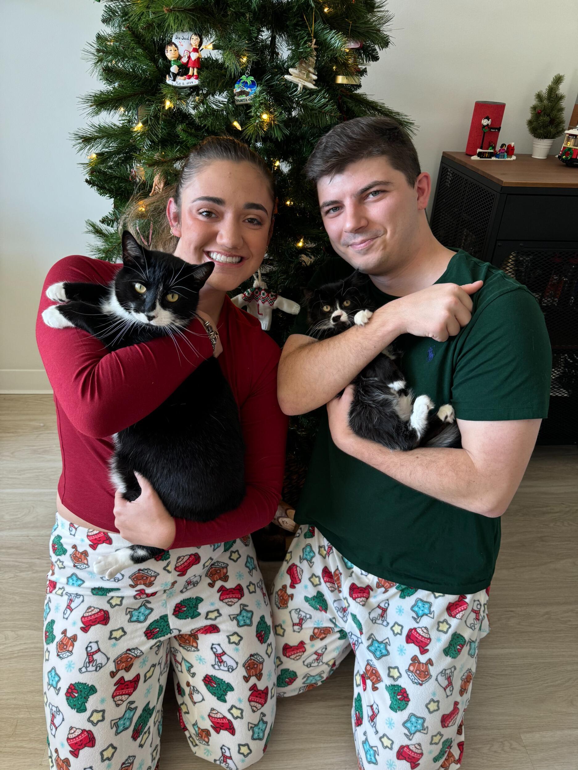 David, Marissa, Sully, and Ladybug spent their first Christmas as a family of four!