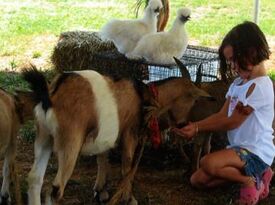 Animals Unlimited LLC est 1996 - Petting Zoo - Montpelier, VA - Hero Gallery 2