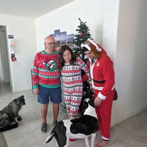 Gallery Photo 4
