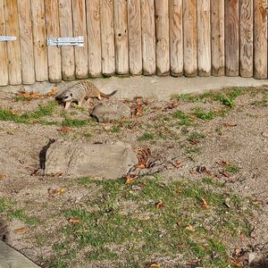 Gallery Photo 164