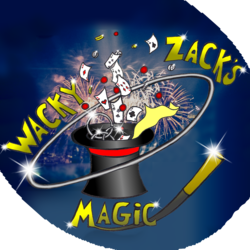 Wacky Zack's Magic And Balloons, profile image