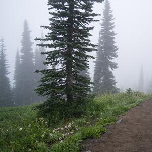 Gallery Photo 40
