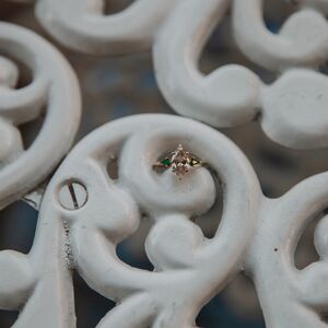 Gallery Photo 33
