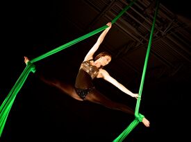 Laura Emiola - Aerialist - Circus Performer - Minneapolis, MN - Hero Gallery 3