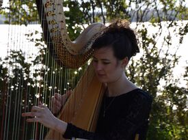 Serena Brouillette - Harpist - Oshkosh, WI - Hero Gallery 4