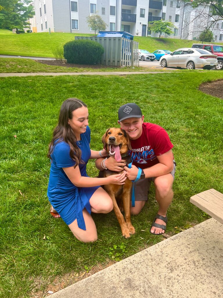 We moved to Roanoke, VA, and added another best friend! 