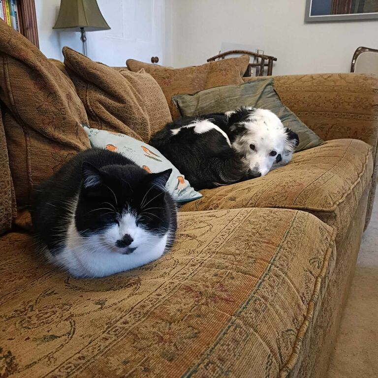 Musa & Breagha