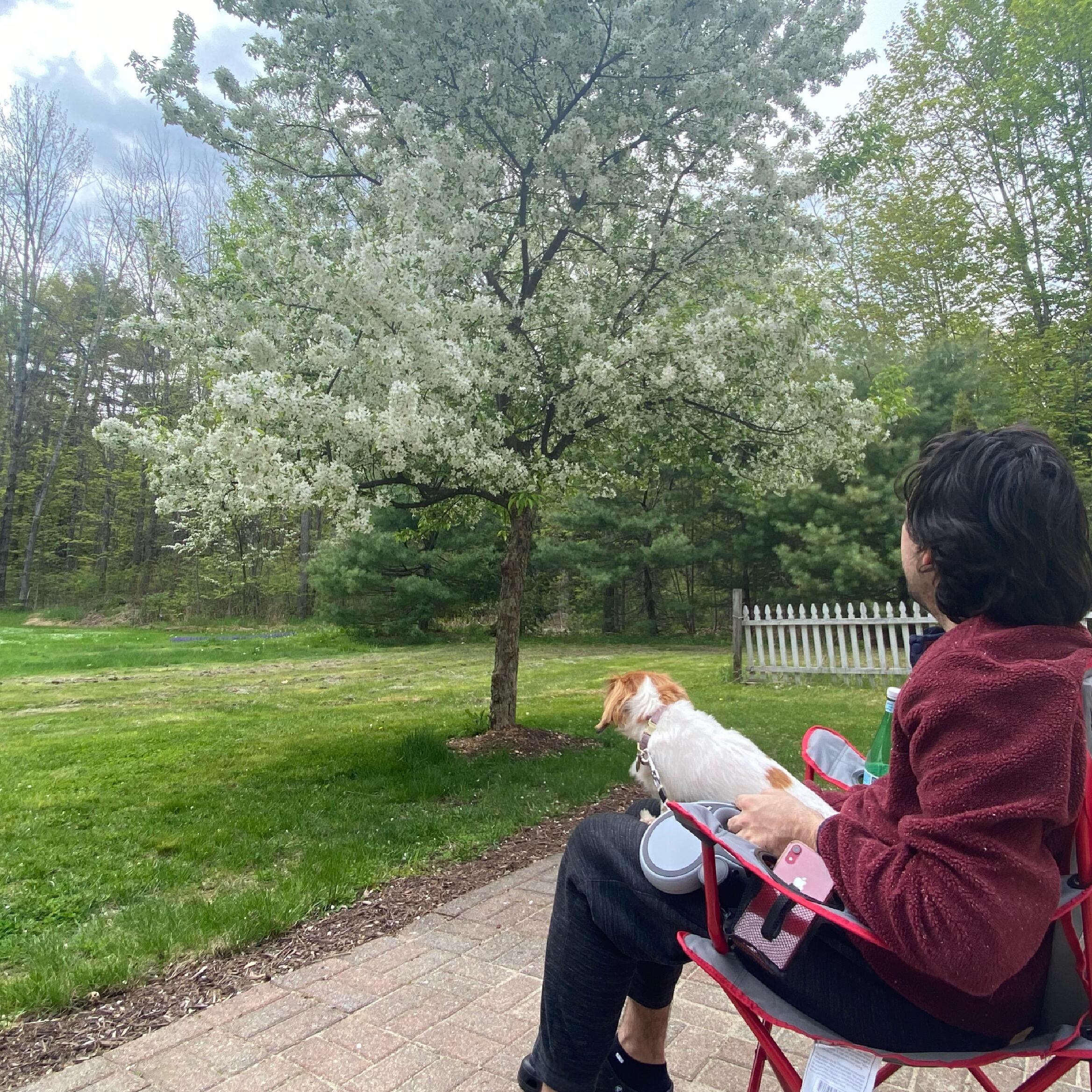 Enjoying the yard of our first home in Lunenburg for the first time!