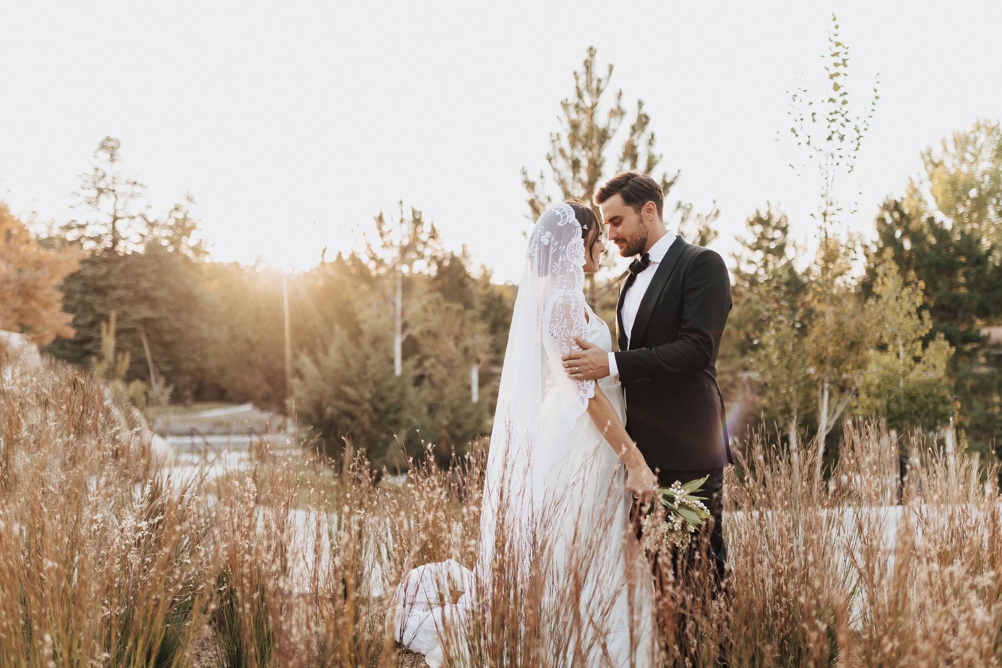 Ashley + Brian, a Glorious Botanical Gardens Elopement — Alicia Lucia  Photography: Albuquerque and Santa Fe New Mexico Wedding and Portrait  Photographer