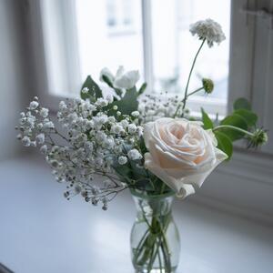 Gallery Photo 24