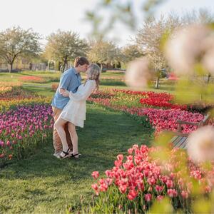 Gallery Photo 28