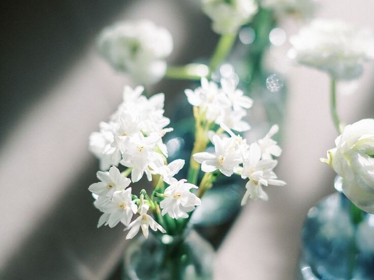 A blue bud vase filled with white narcissus paperwhite flowers