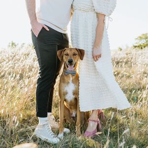 Gallery Photo 17