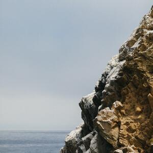 Gallery Photo 73