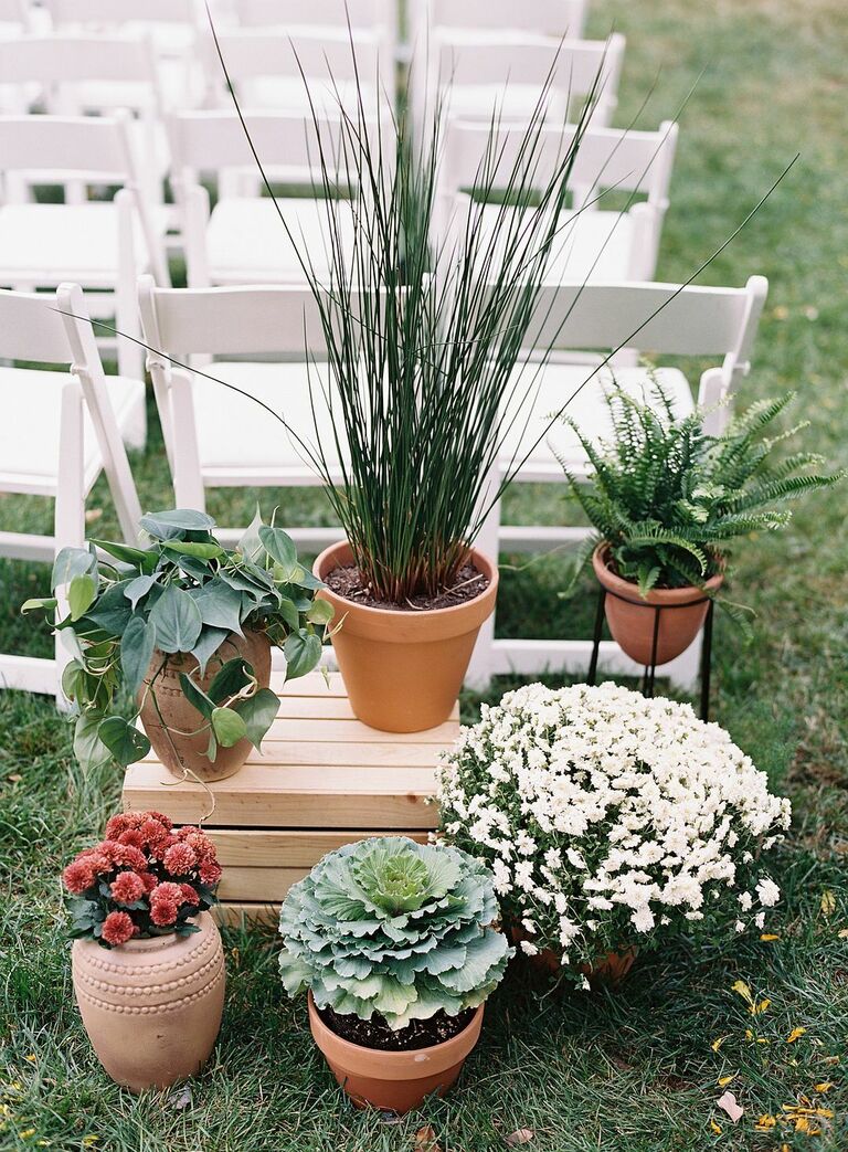 Grouping of plants in terracotta pots decorating ceremony aisle