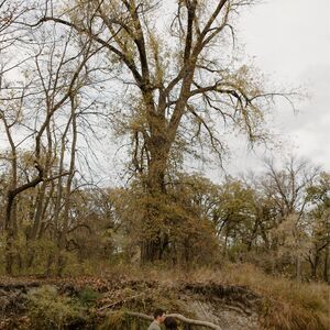 Gallery Photo 25