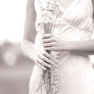 Gallery Photo 24