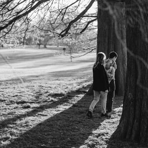 Gallery Photo 365