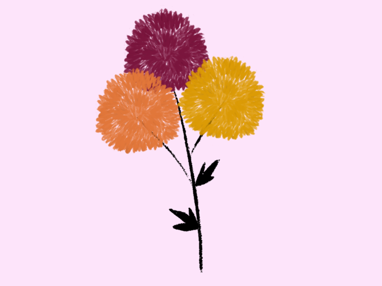 November Birth Flower Sticker: Chrysanthemum