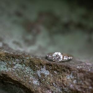 Gallery Photo 21