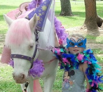 Pony Pals Party Ponies - Pony Rides - Ashland City, TN - Hero Main