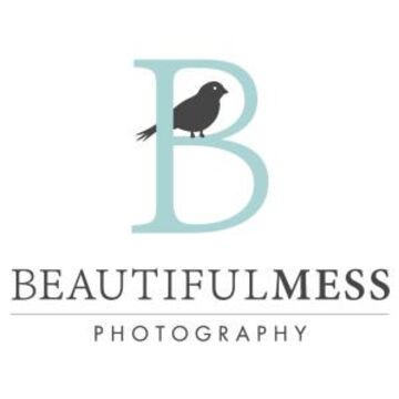Beautiful Mess Photography - Photographer - Saint Louis, MO - Hero Main