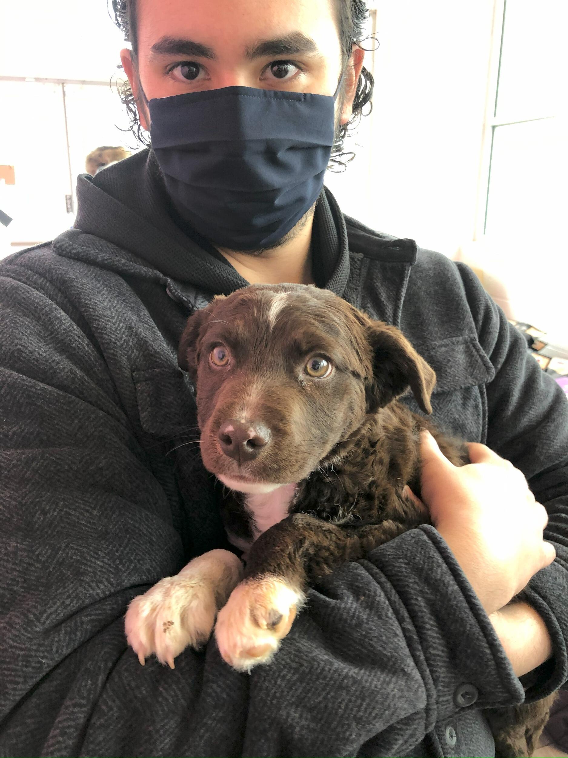 First day we met and adopted Beau