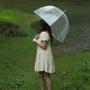 Gallery Photo 4