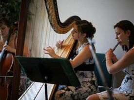 The Soenen Sisters - Harp, Flute, and Cello - Classical Trio - Hamilton, ON - Hero Gallery 2