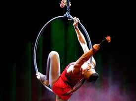 Elysium Productions - Circus Performer - Sarasota, FL - Hero Gallery 3