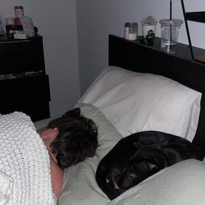 Gallery Photo 96