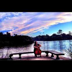 Mary Brandal Cello, profile image