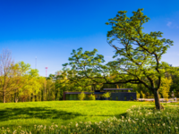 Park in Maryland, best places to propose in Maryland