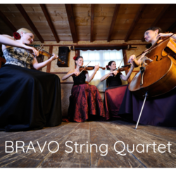 BRAVO String QUARTET, profile image