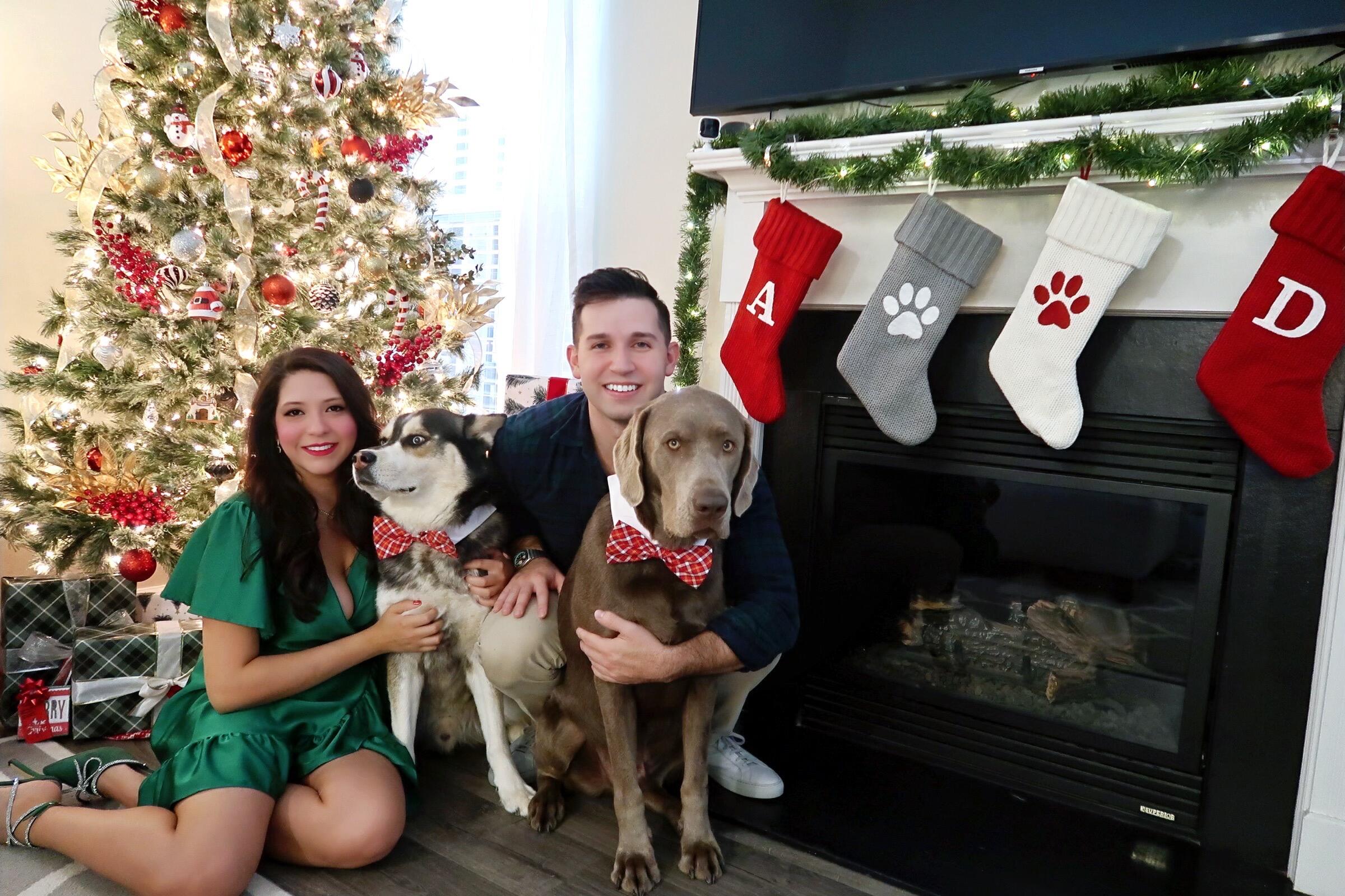 Our third Christmas. At this point you'd think we understand that dogs and pictures do not go well together. But we love them still!