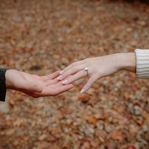 Gallery Photo 21