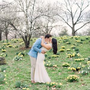 Gallery Photo 15