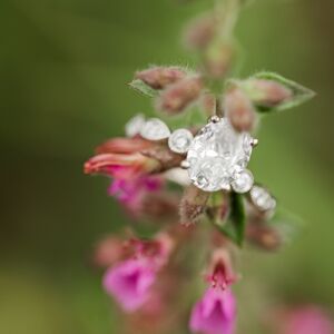 Gallery Photo 37