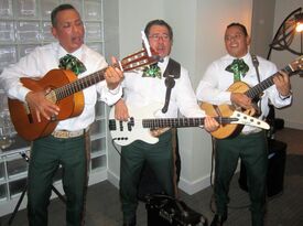 Valdes Music Productions - Mariachi Band - Chicago, IL - Hero Gallery 1