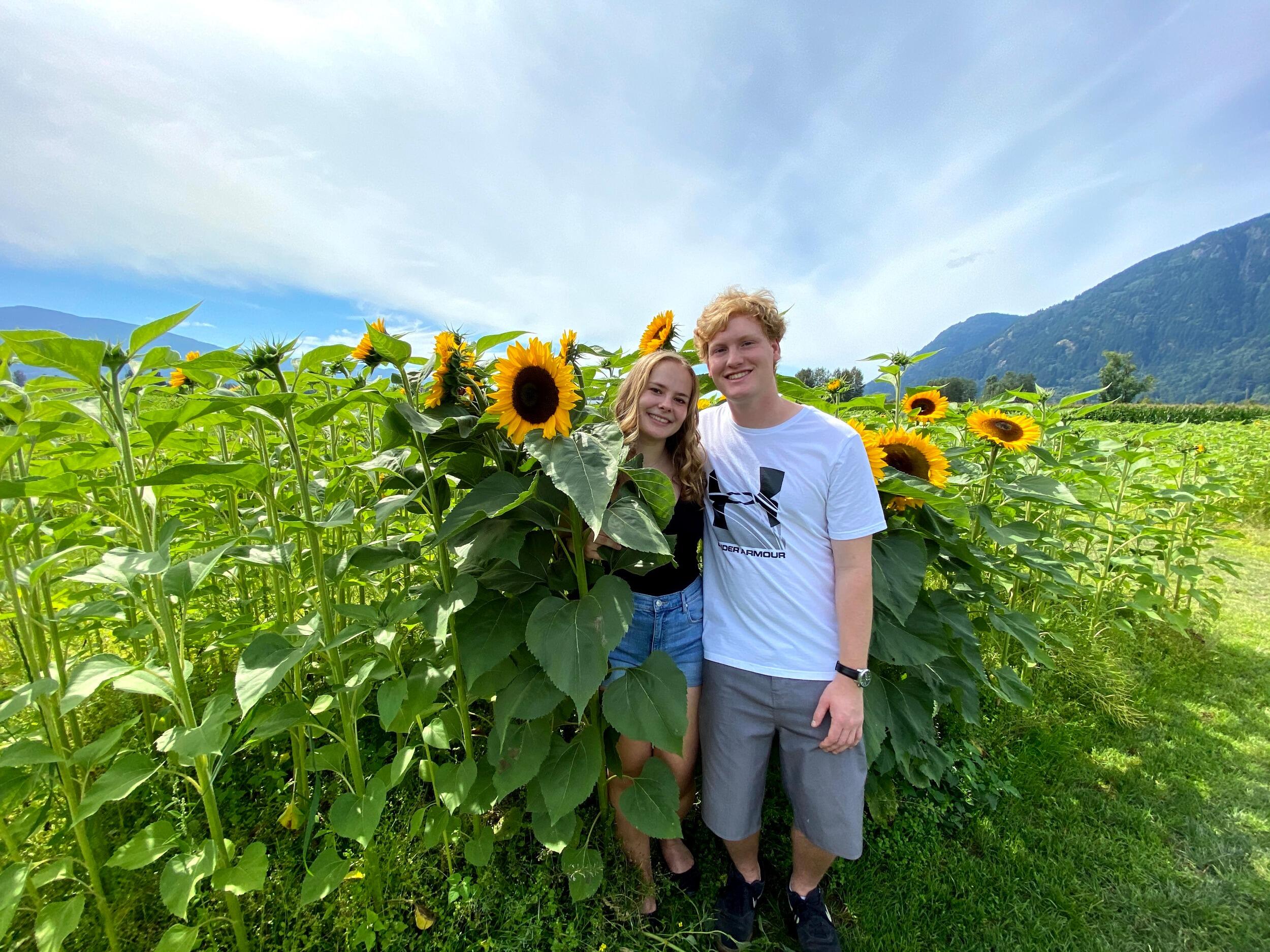 Sunflower festival in Chilliwack.