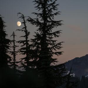 Gallery Photo 65
