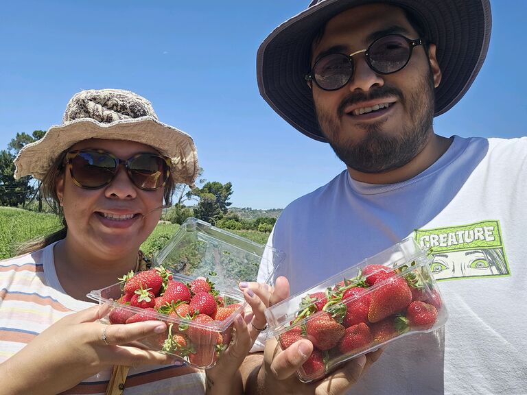 Strawberry picking.