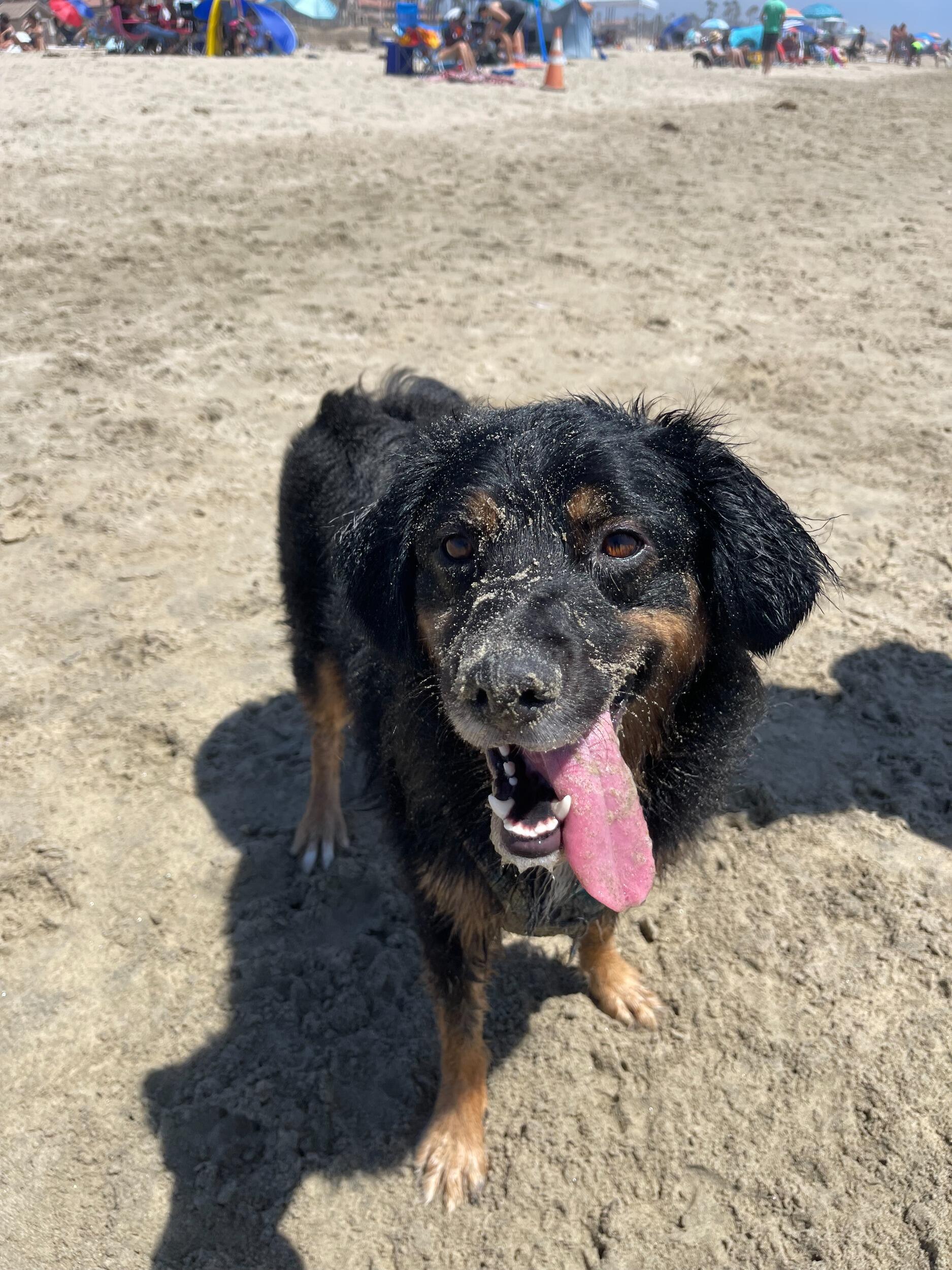 Core memory! Watching Remington enjoy the sand and waves...and did we mention the sand?!