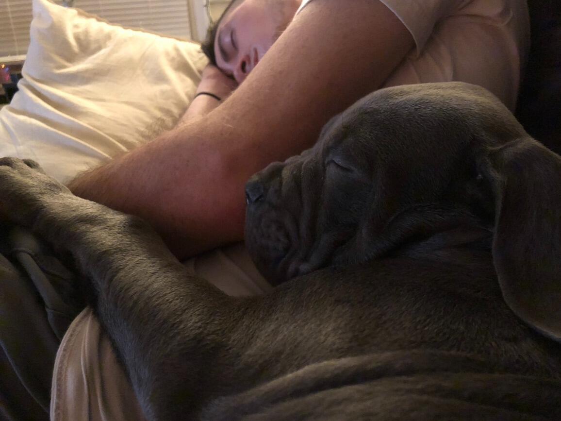 Luna's first nap with dad, Christmas night