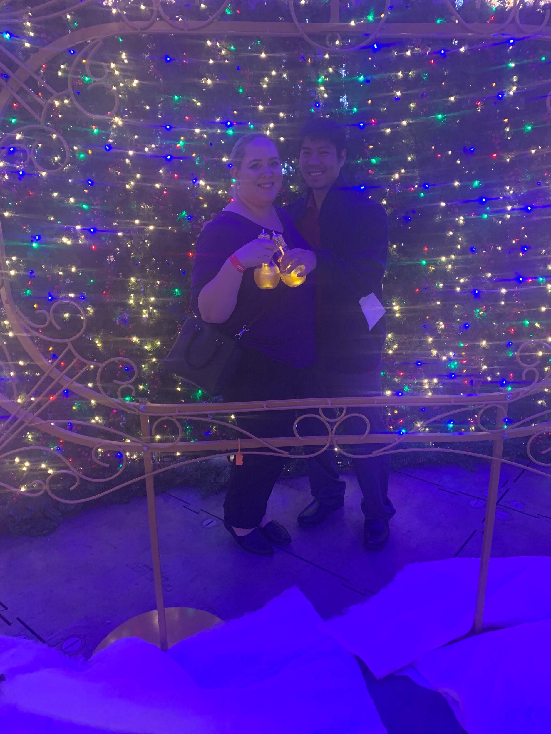 Enchant Christmas, Tampa - 2019