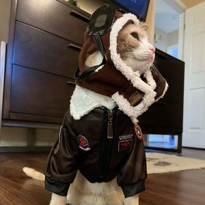 Gallery Photo 20